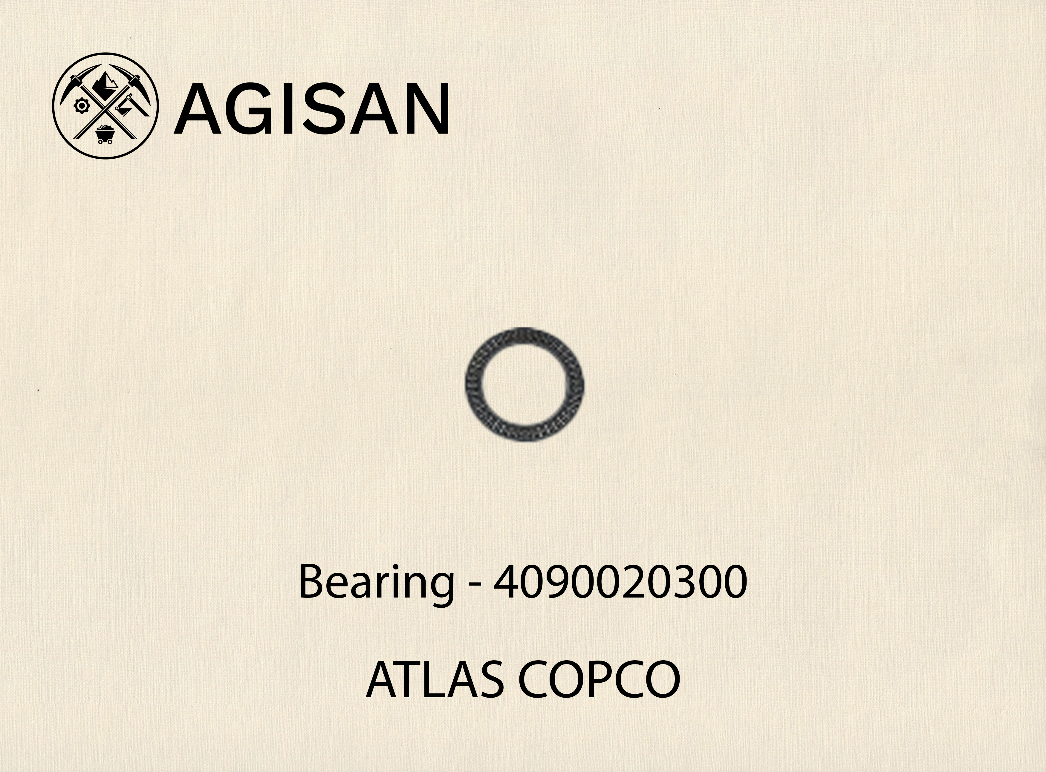 Bearing 4090020300