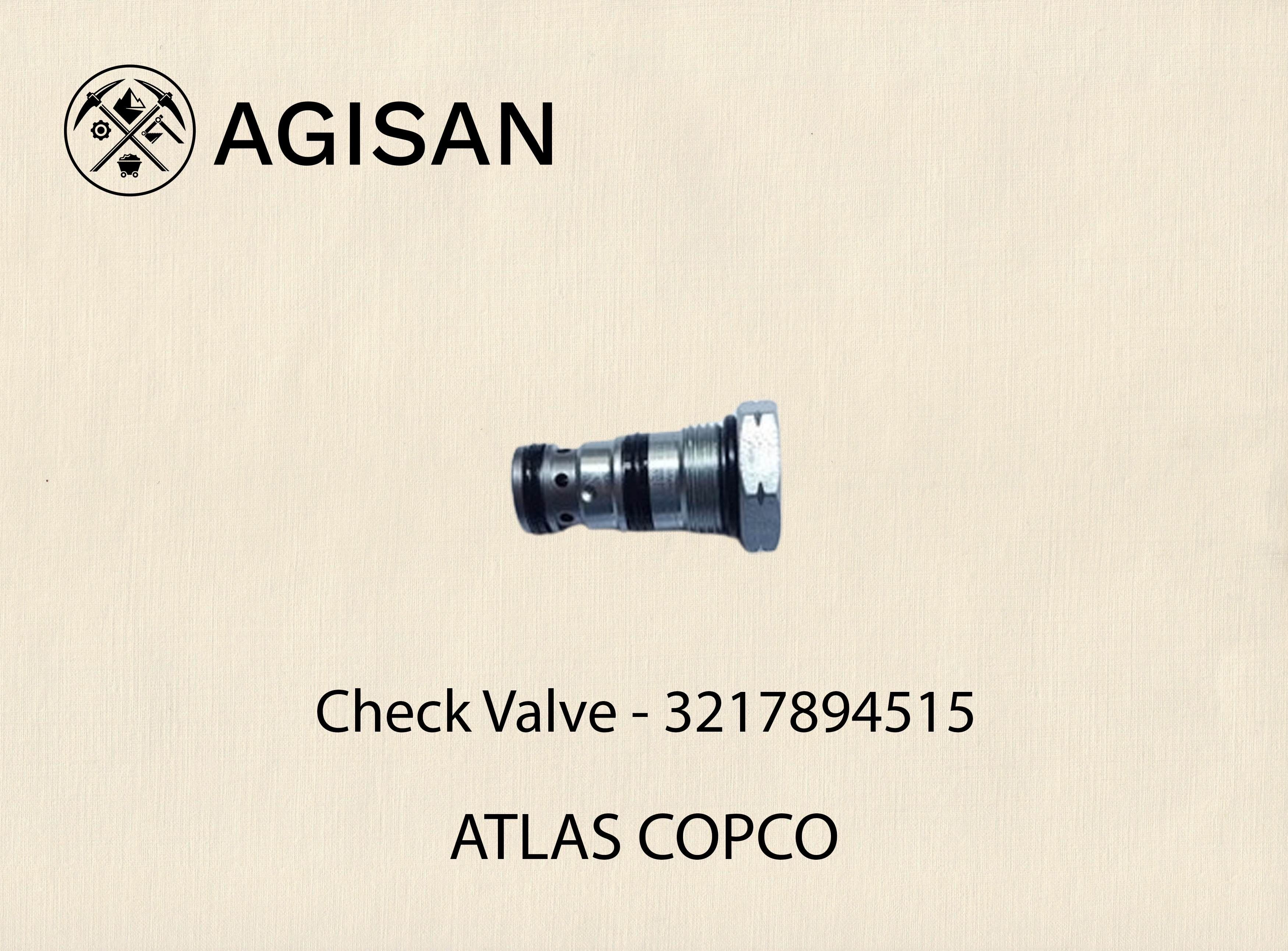 Check Valve 3217894515