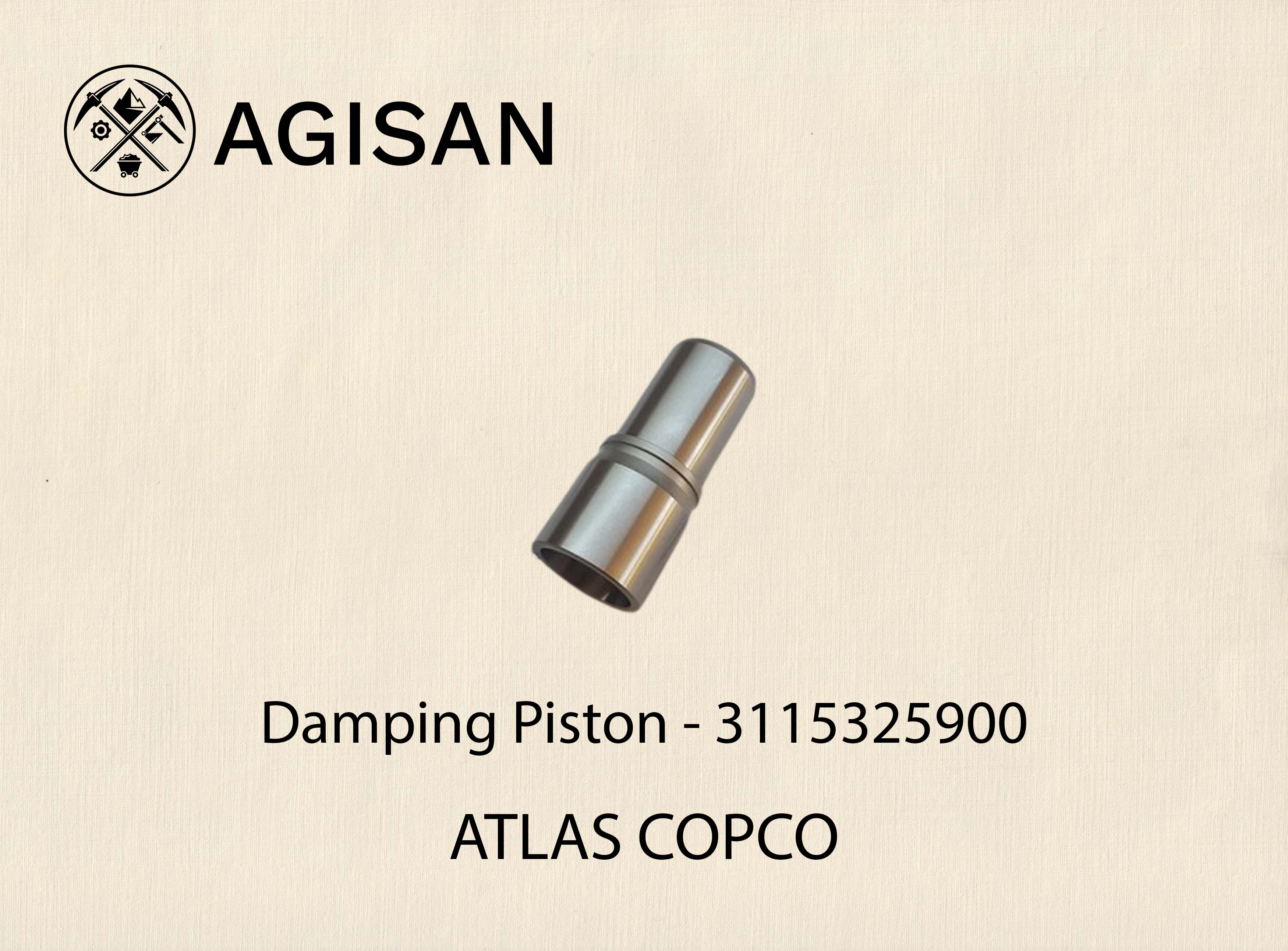 Damping Piston 3115325900