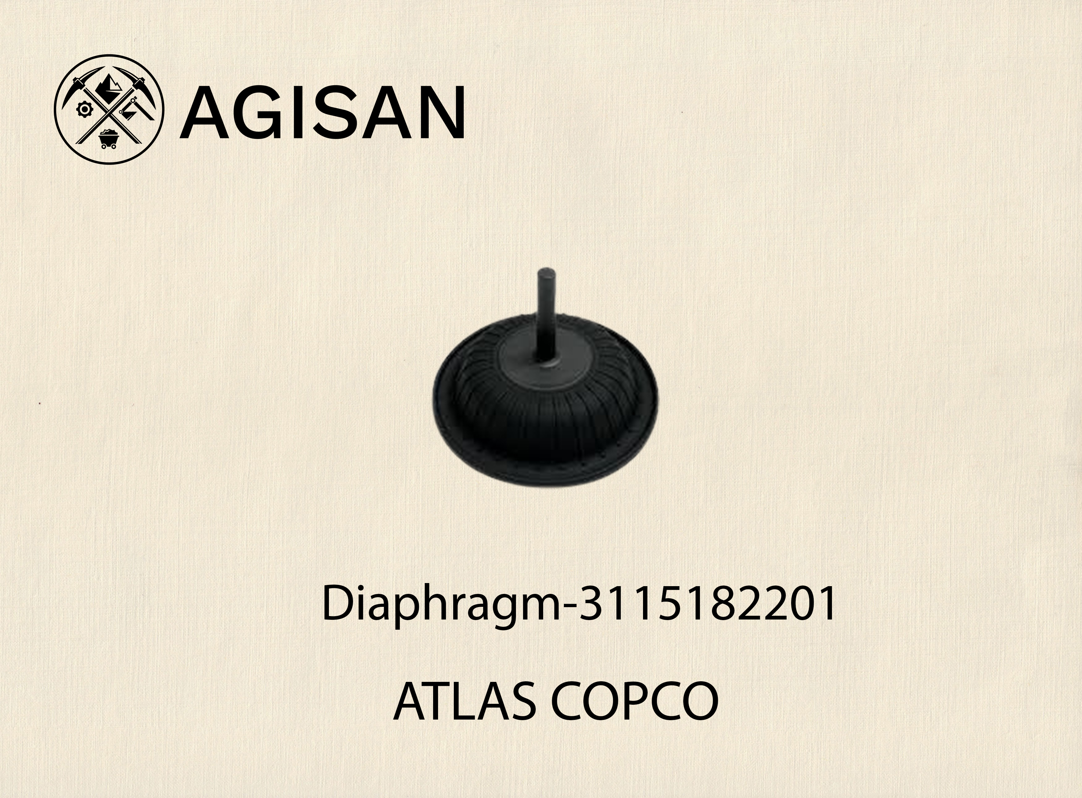 Diaphragm 3115182201 