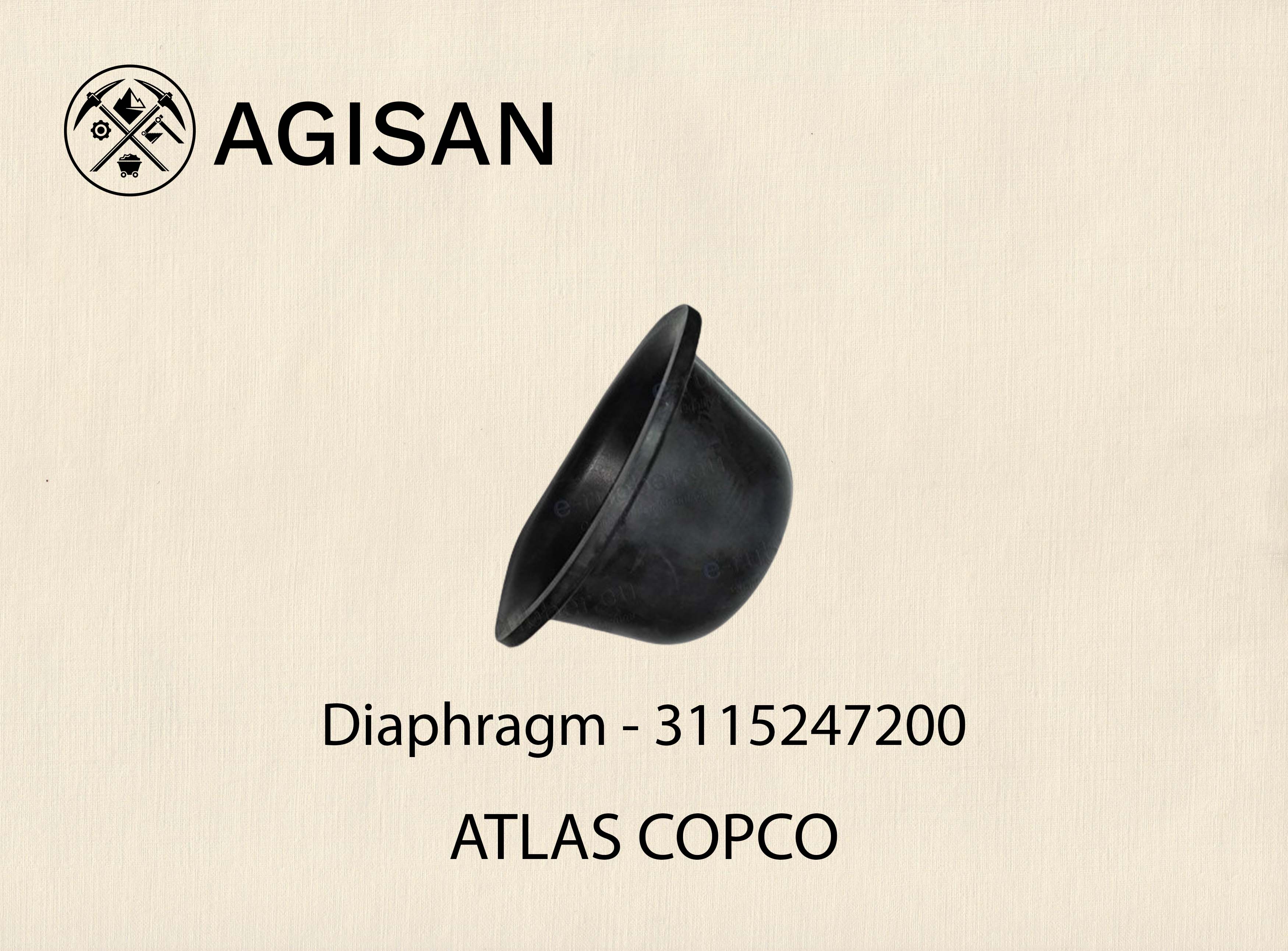 Diaphragm 3115247200