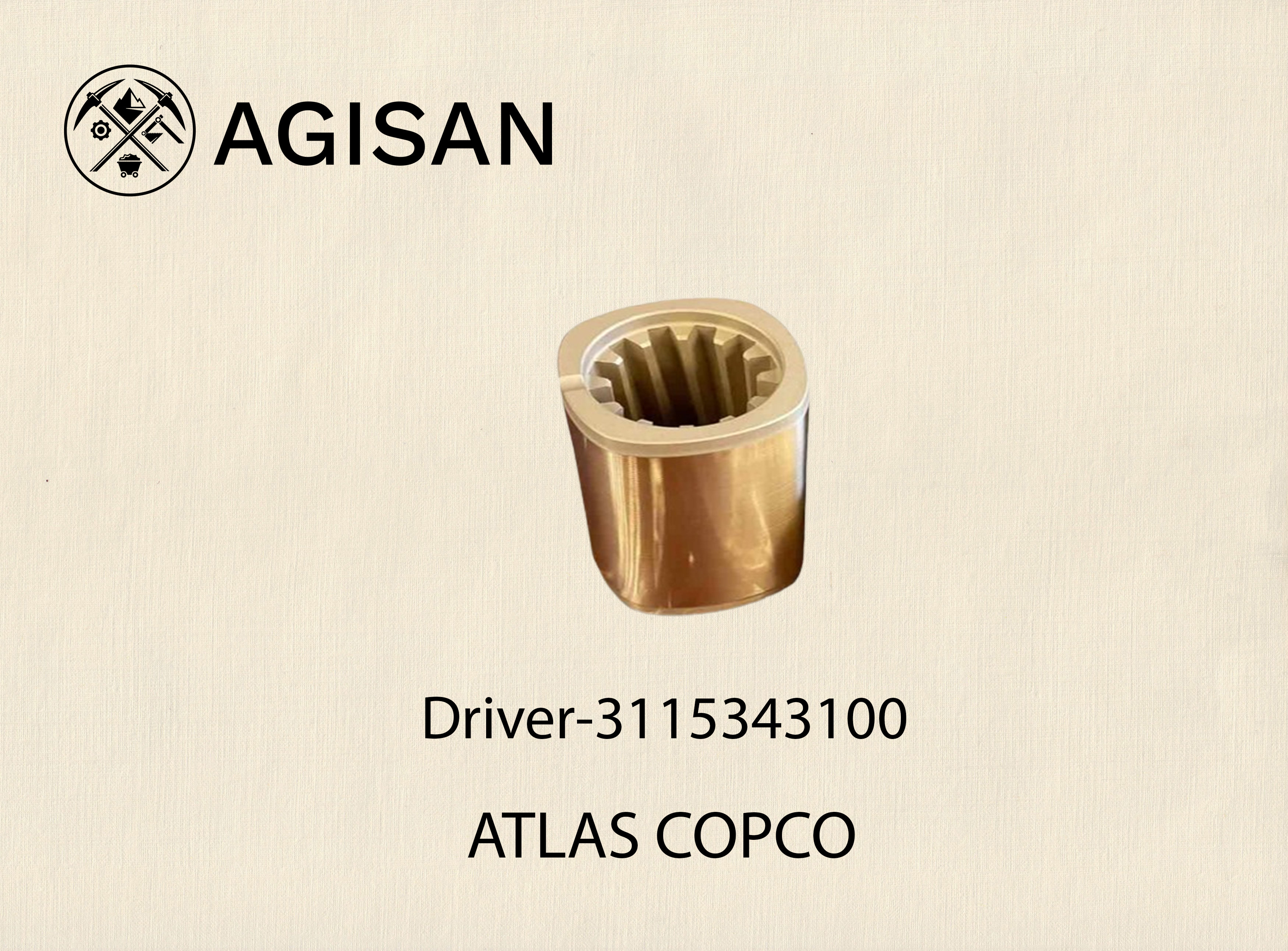 Driver 3115343100