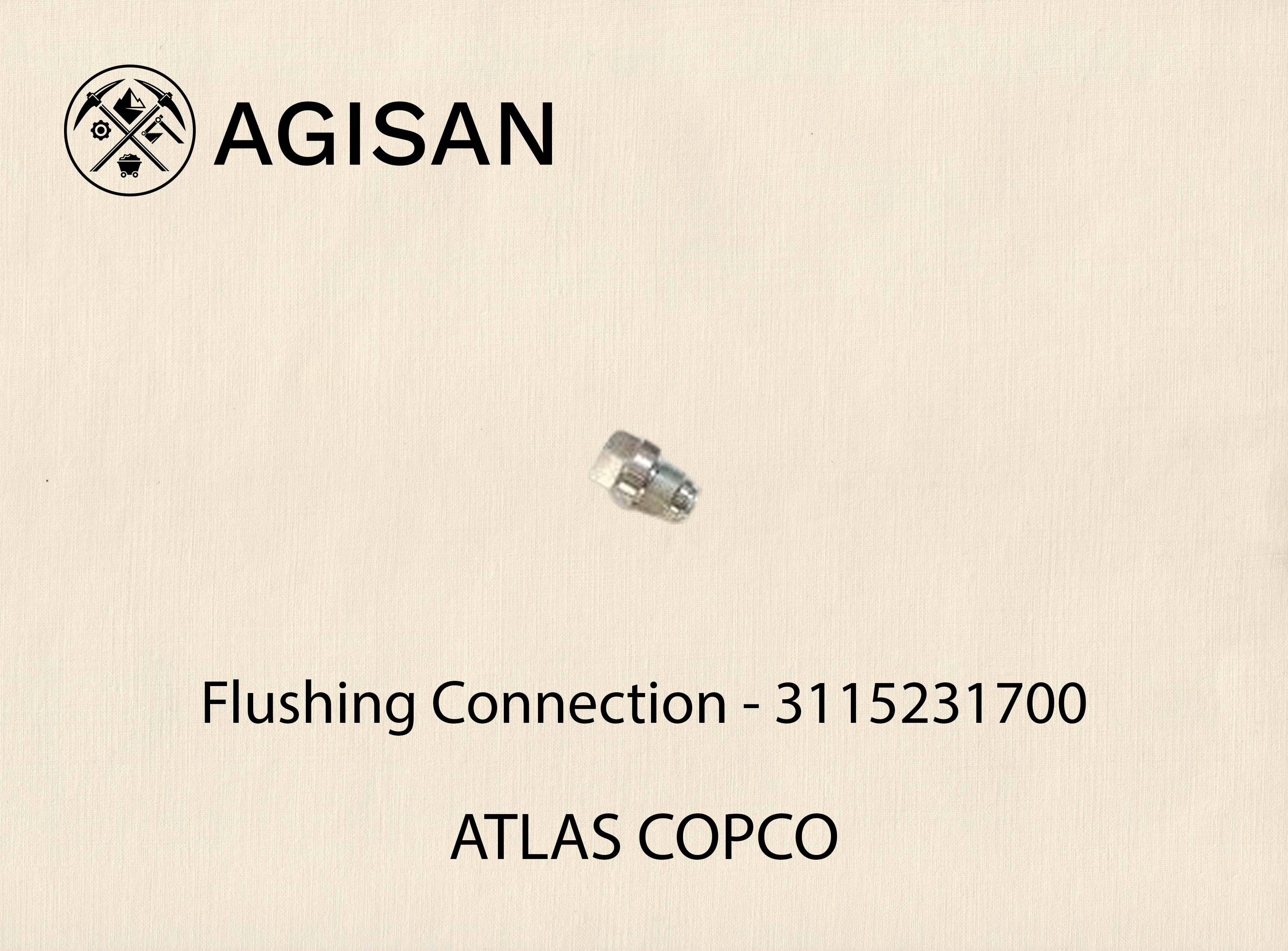 Flushing Connection 3115231700
