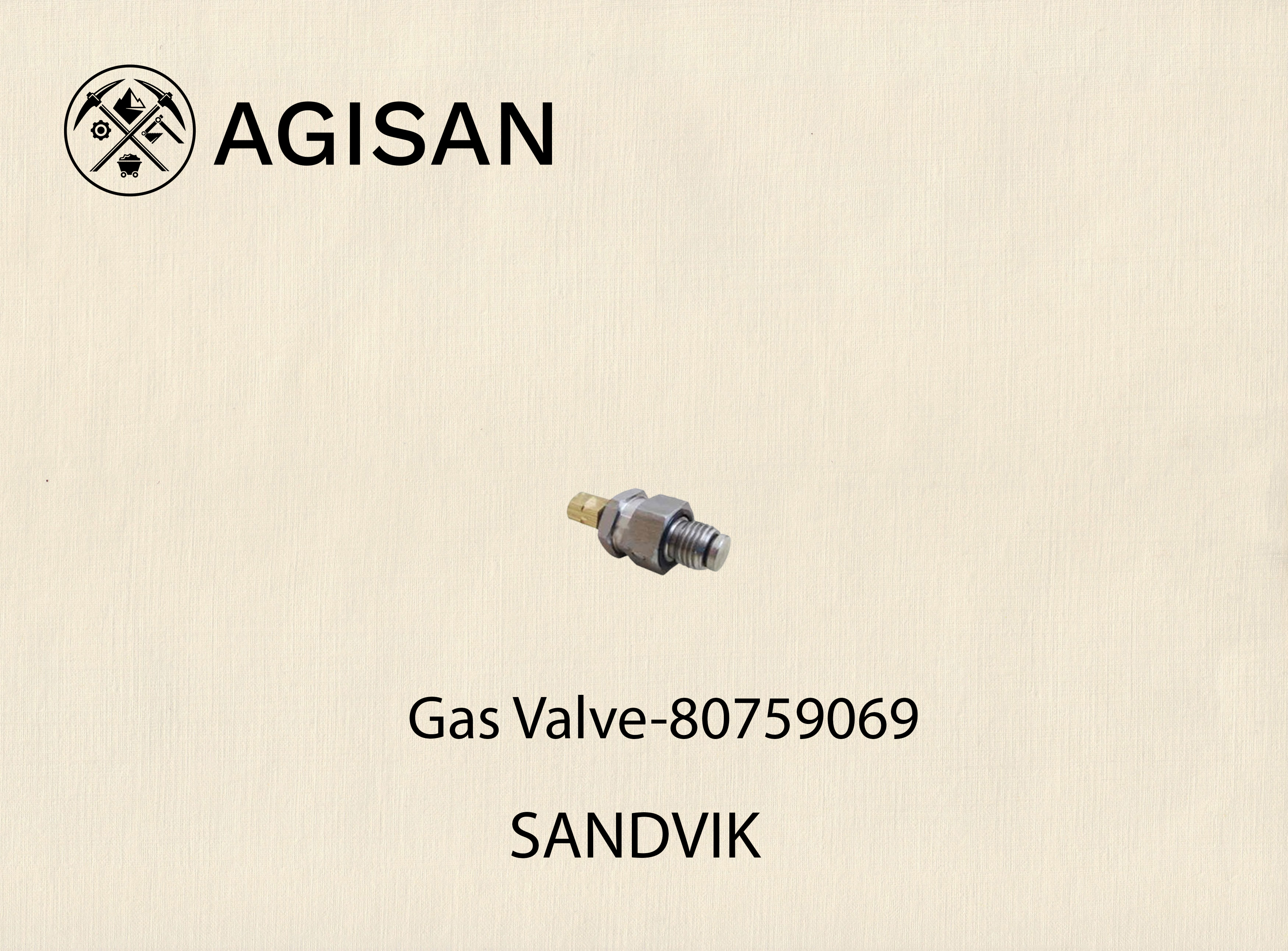 Gas Valve 80759069