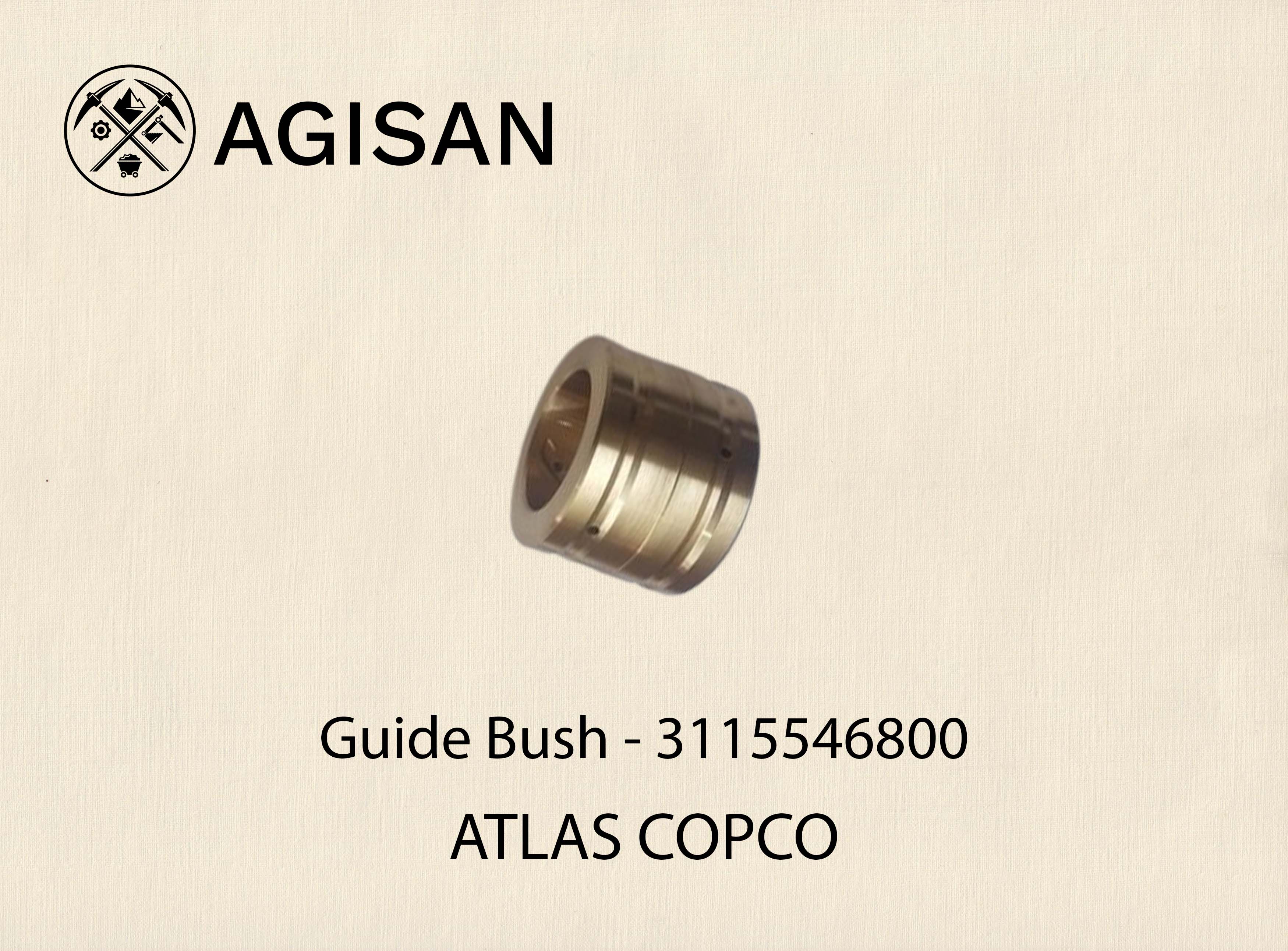 Guide Bush 3115546800