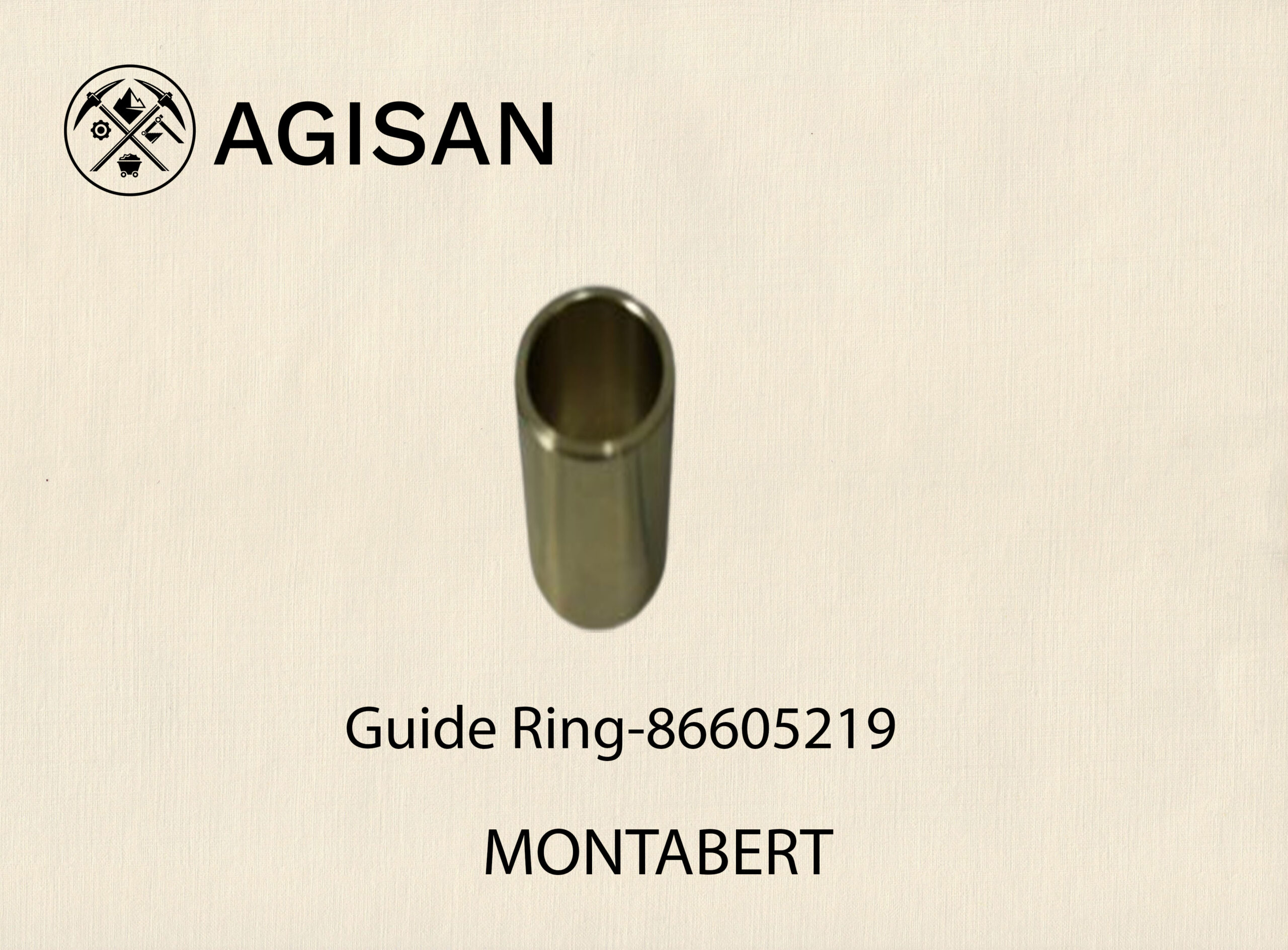 Guide Ring 86605219  scaled