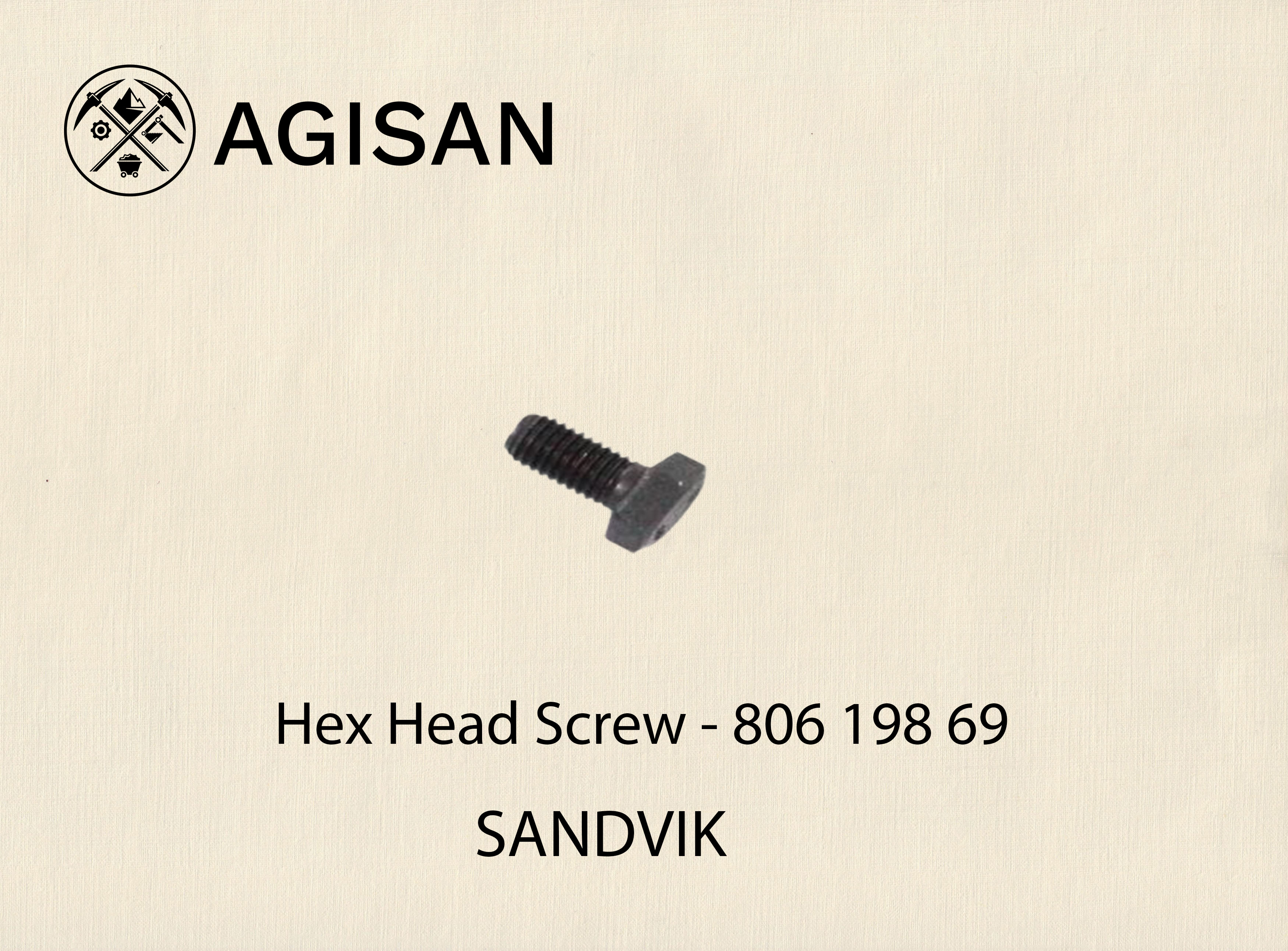 Hex Head Screw 806 198 69 