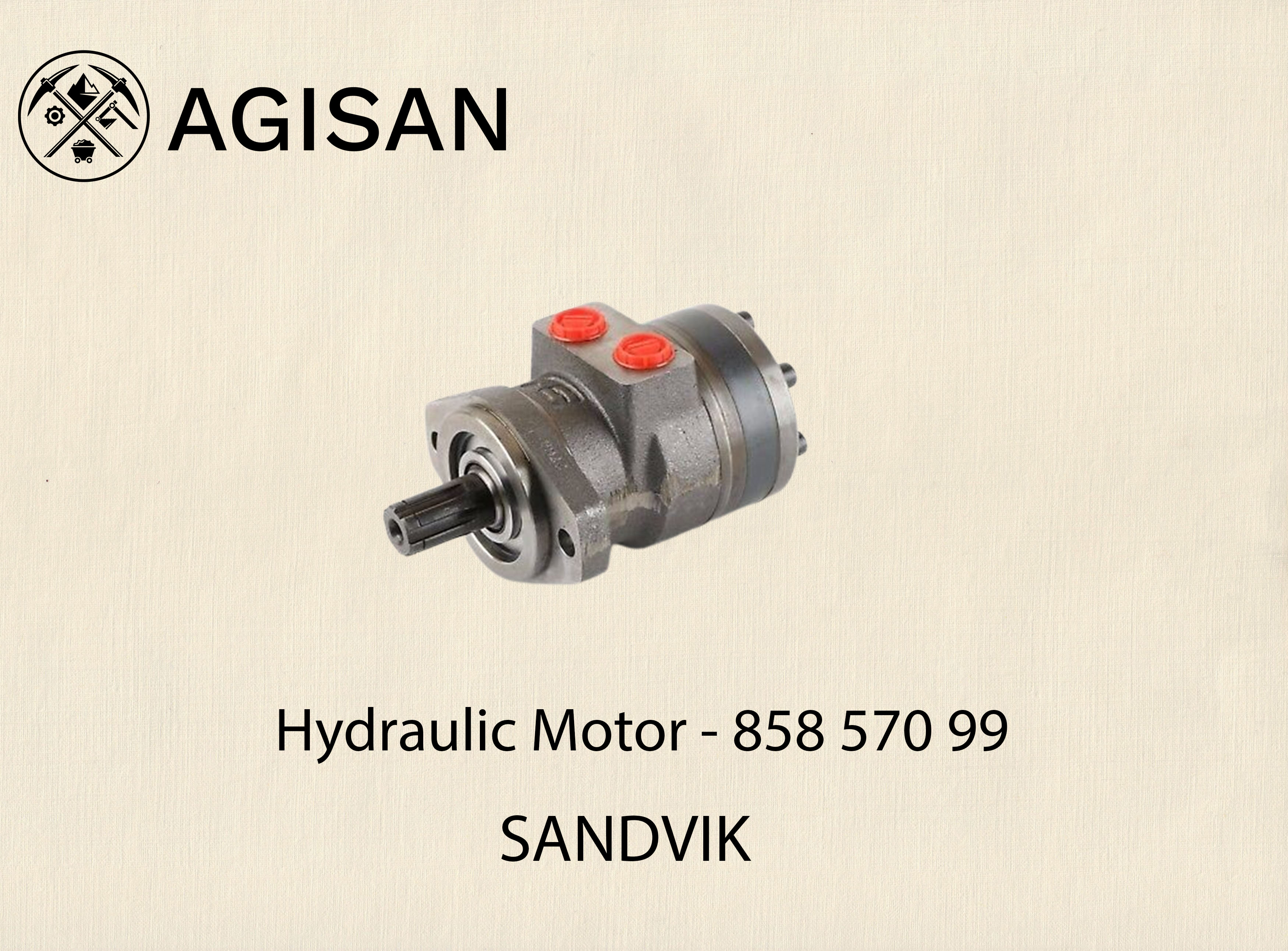 Hydraulic Motor 858 570 99 