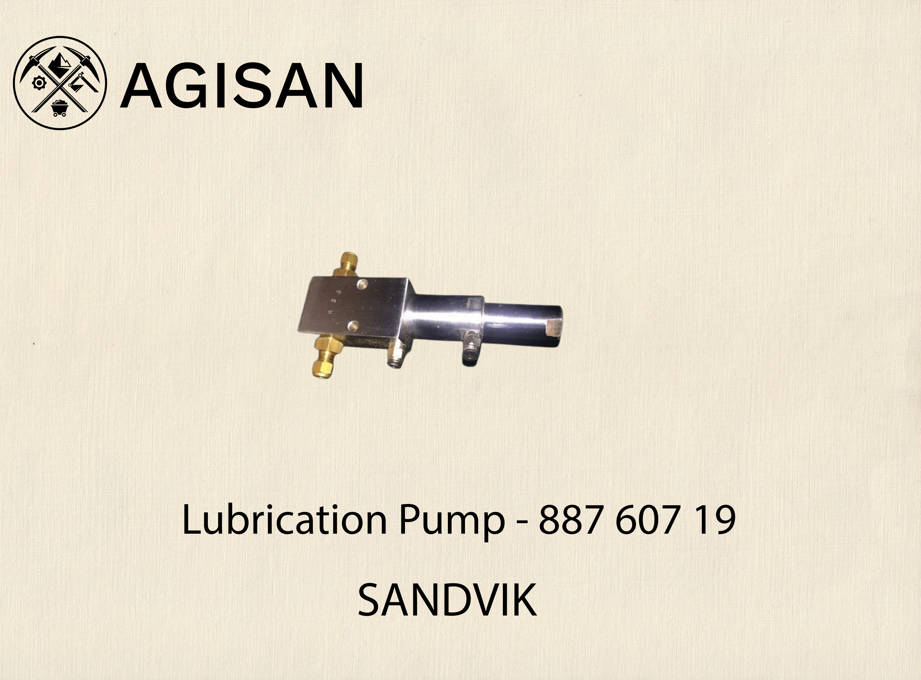 Lubrication Pump 887 607 19 