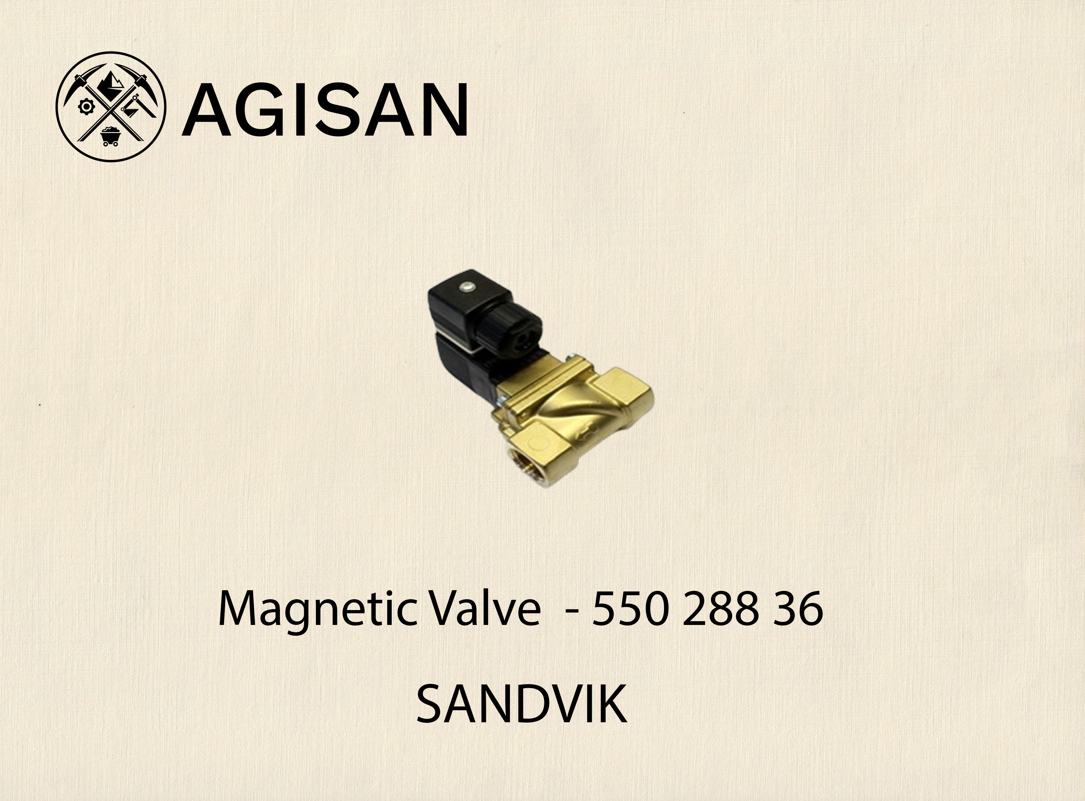 Magnetic Valve 550 288 36 