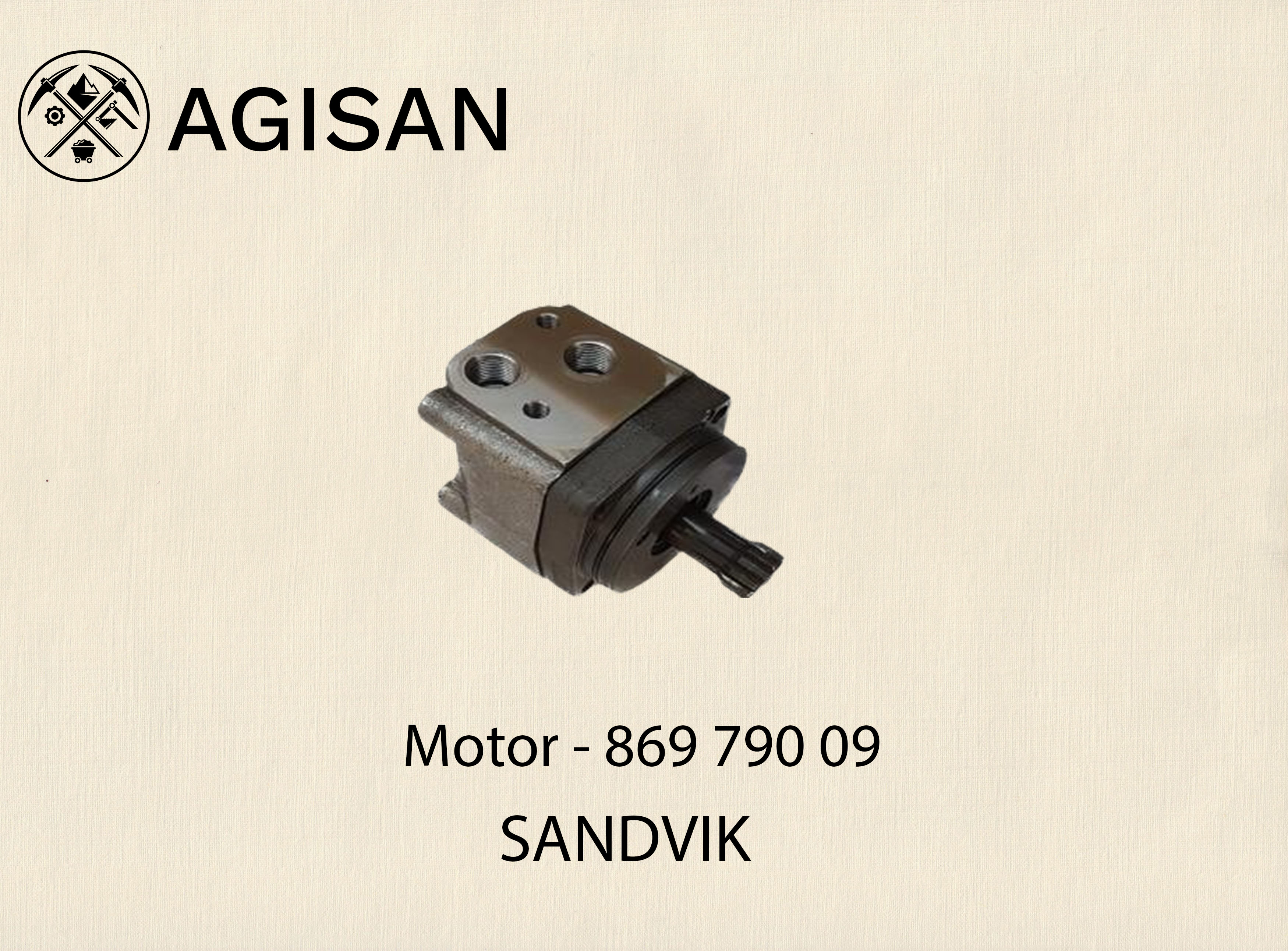 Motor 869 790 09 