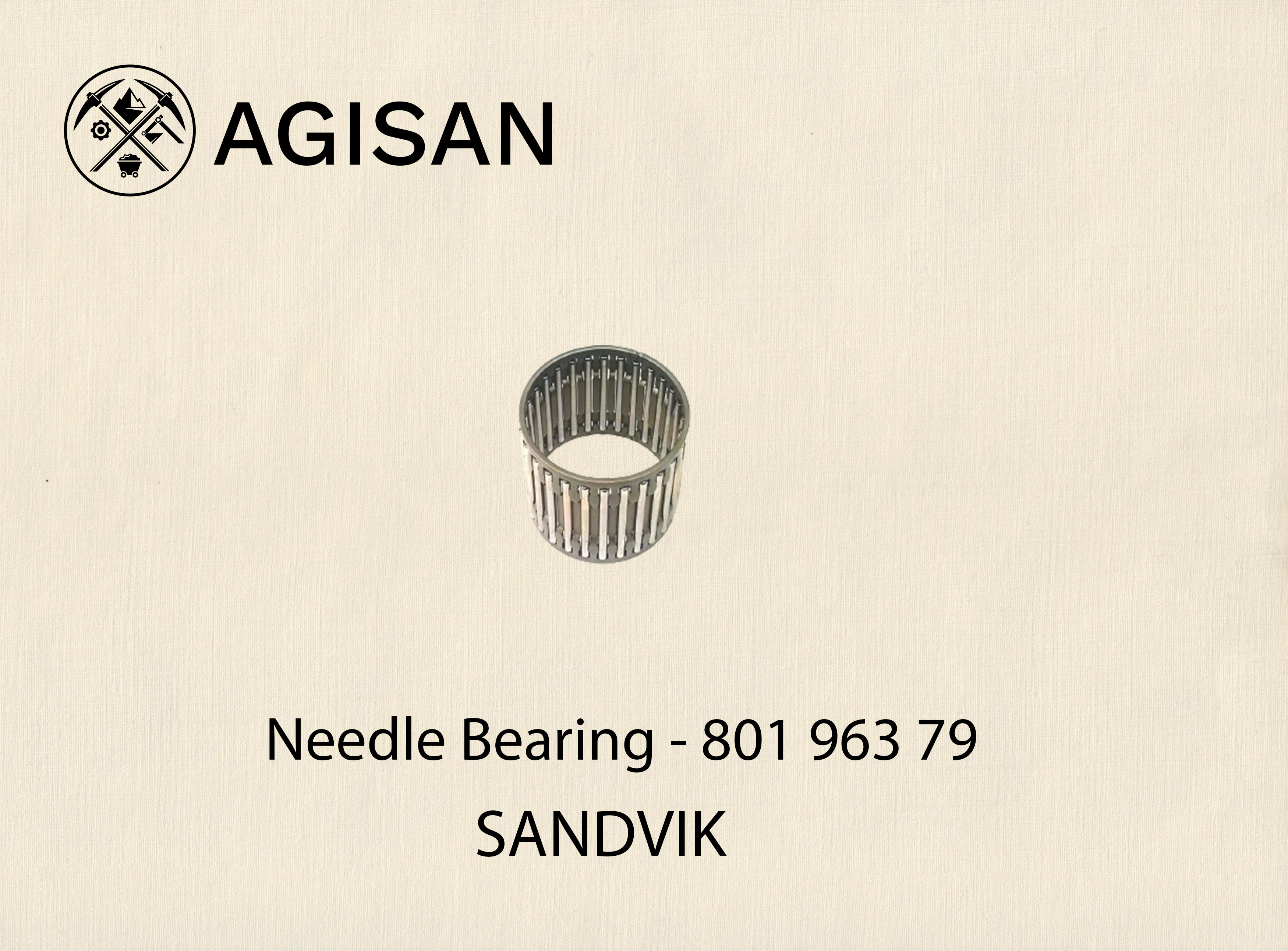 Needle Bearing 801 963 79 