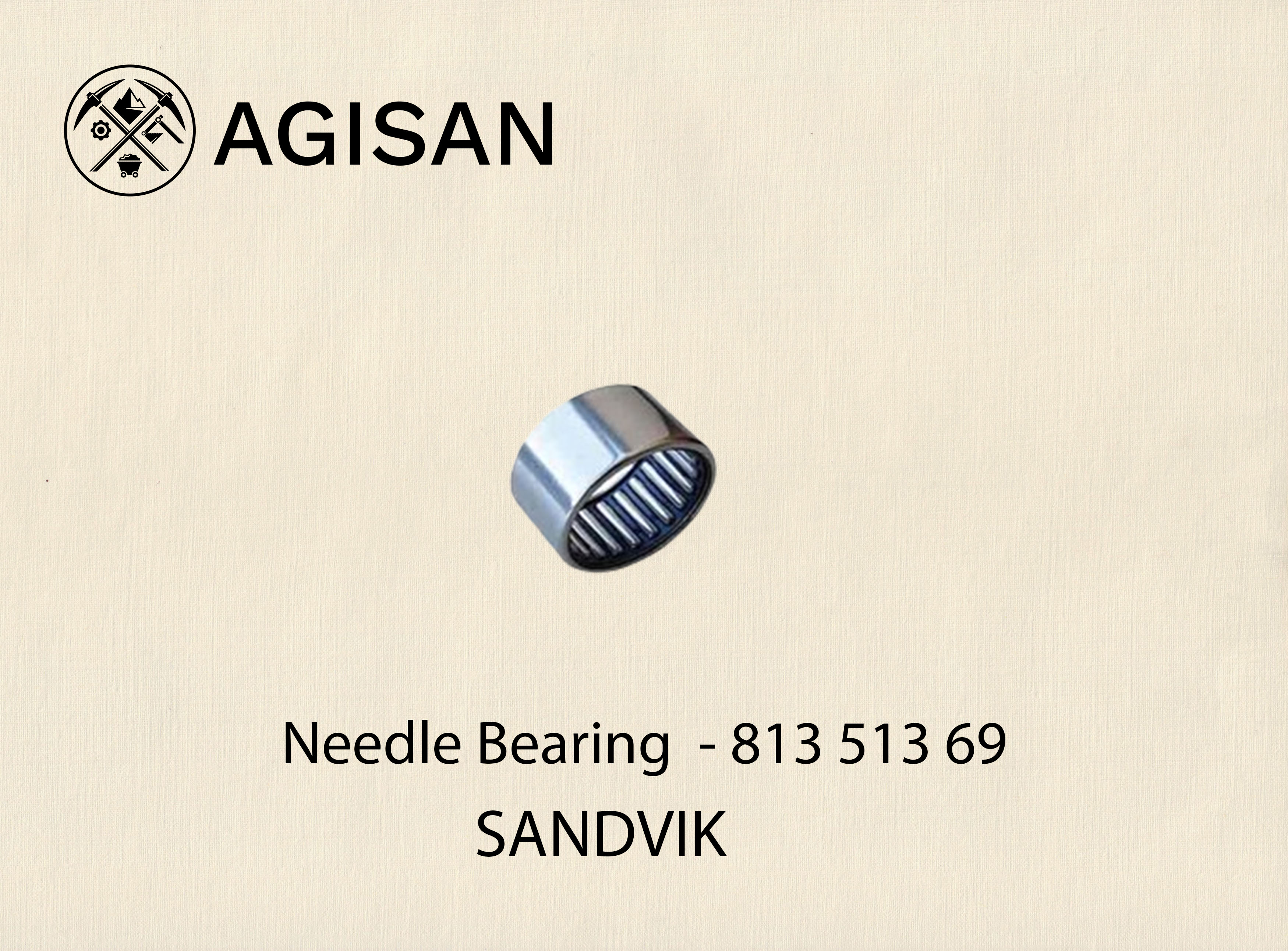Needle Bearing 813 513 69 