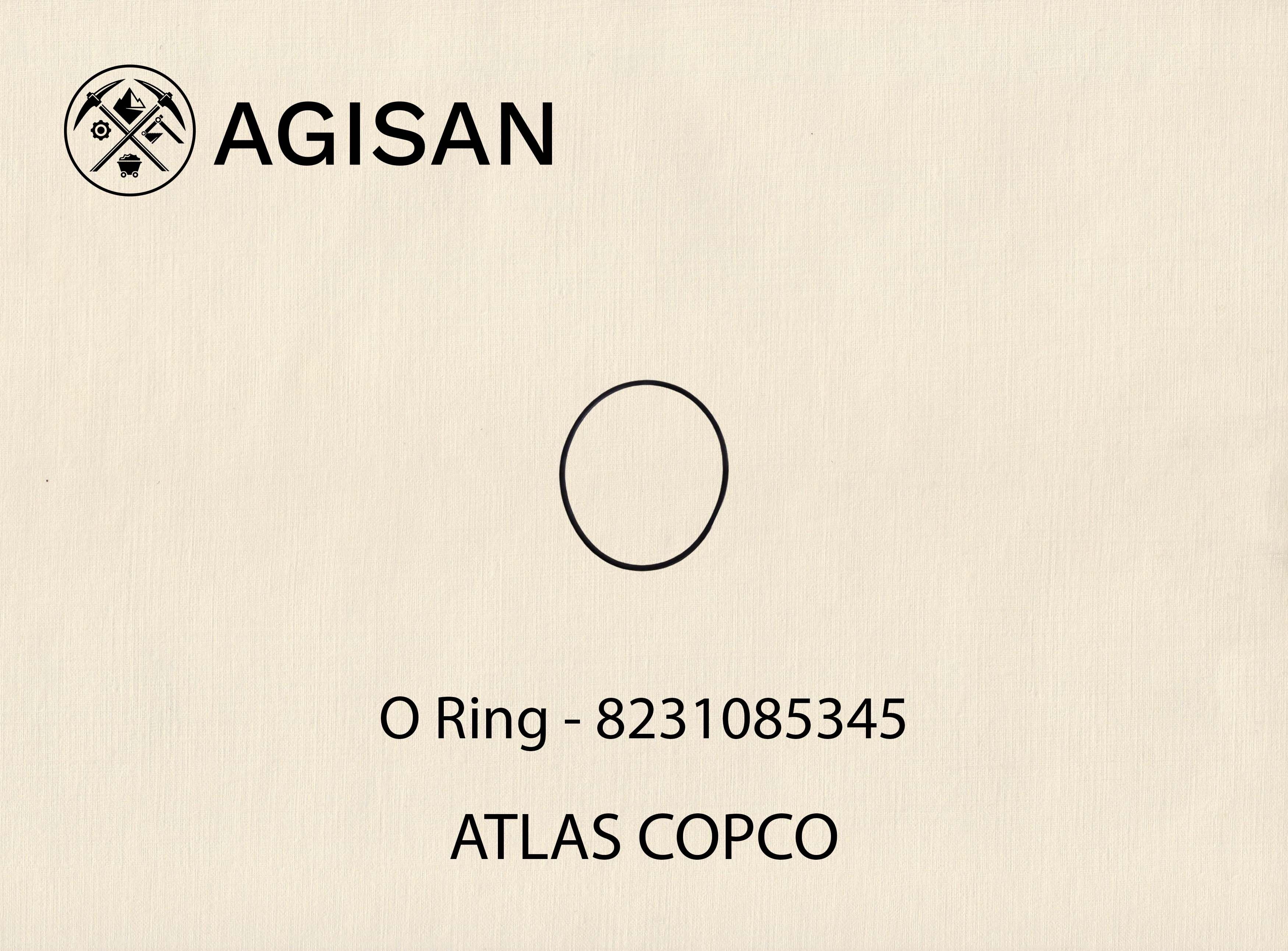 O Ring 8231085345