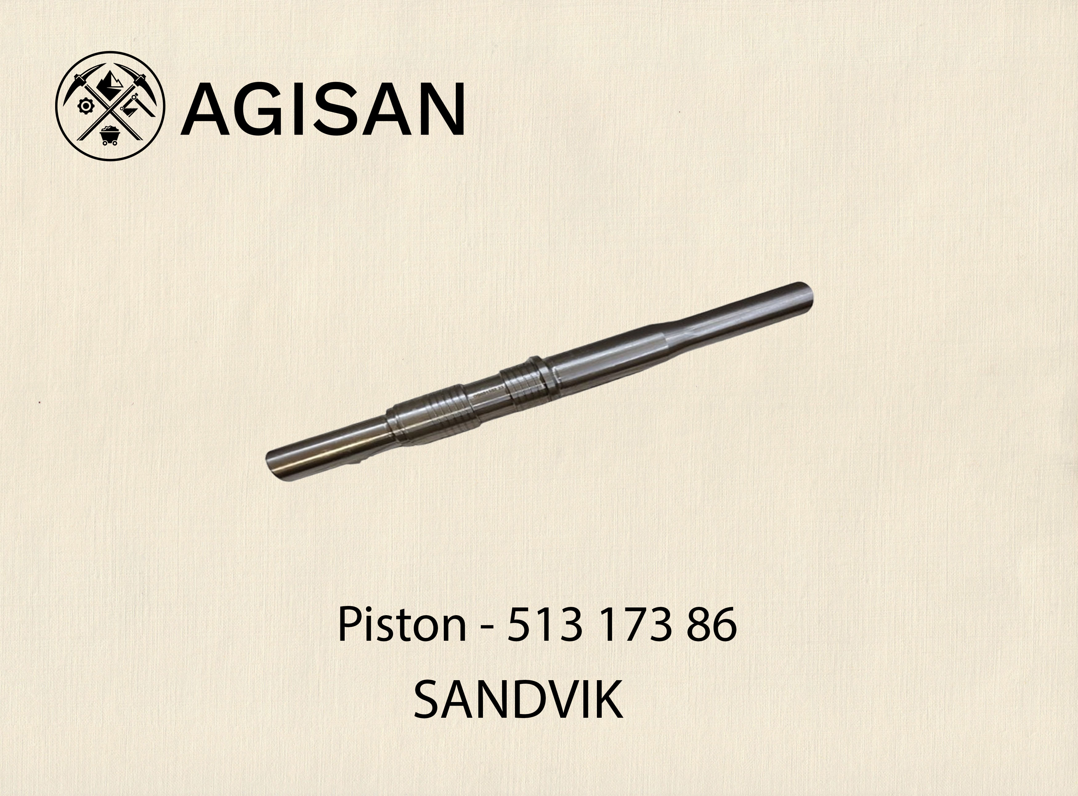 Piston 513 173 86