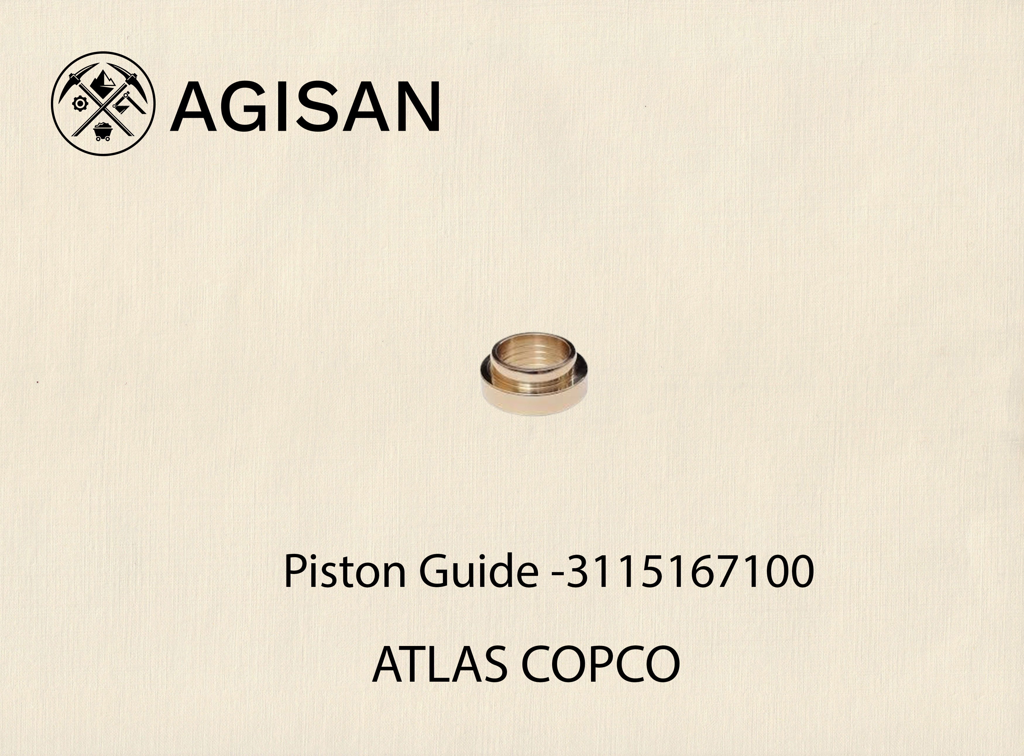 Piston Guide 3115167100