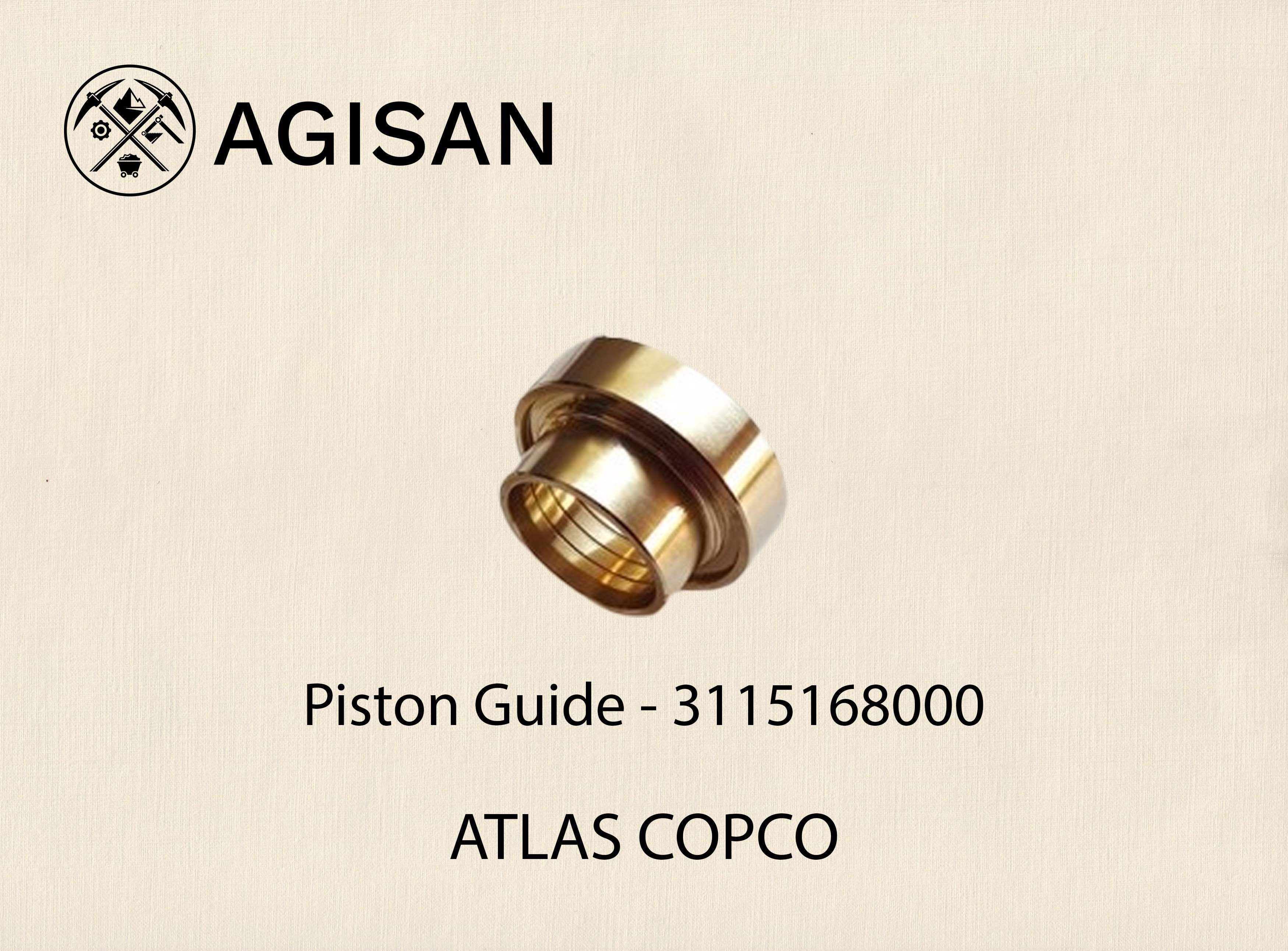 Piston Guide 3115168000