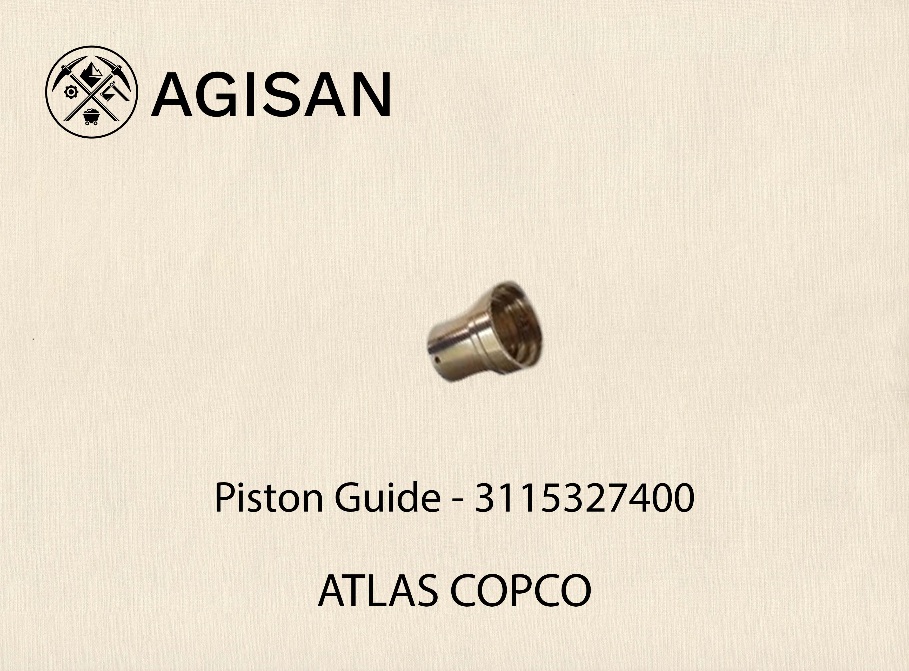 Piston Guide 3115327400