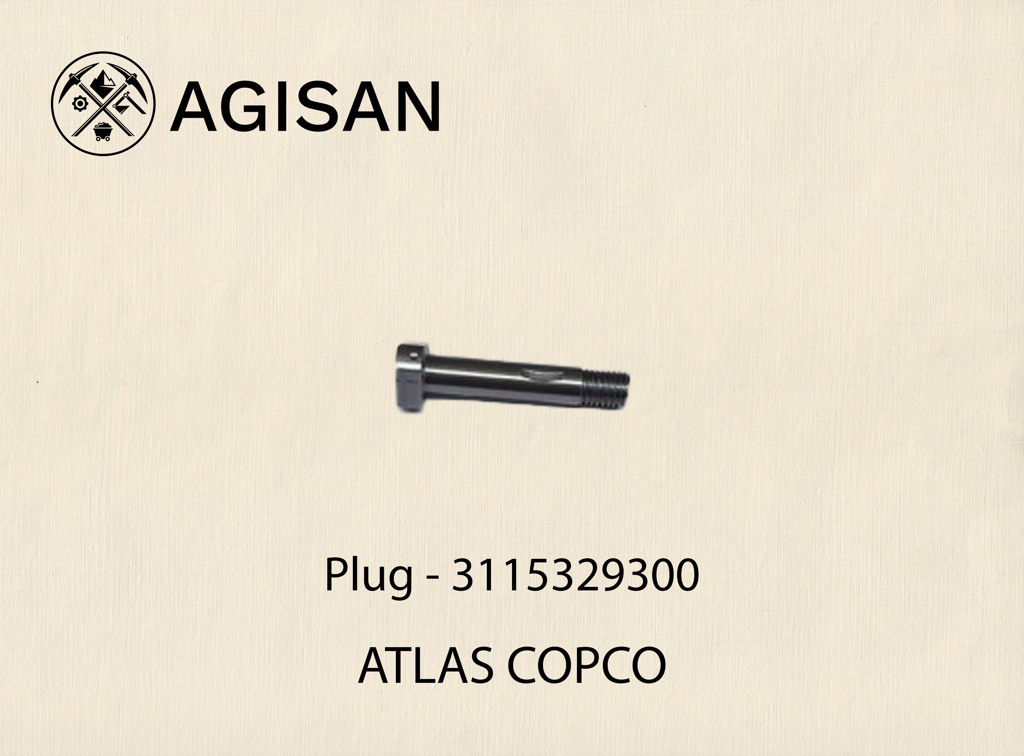 Plug 3115329300