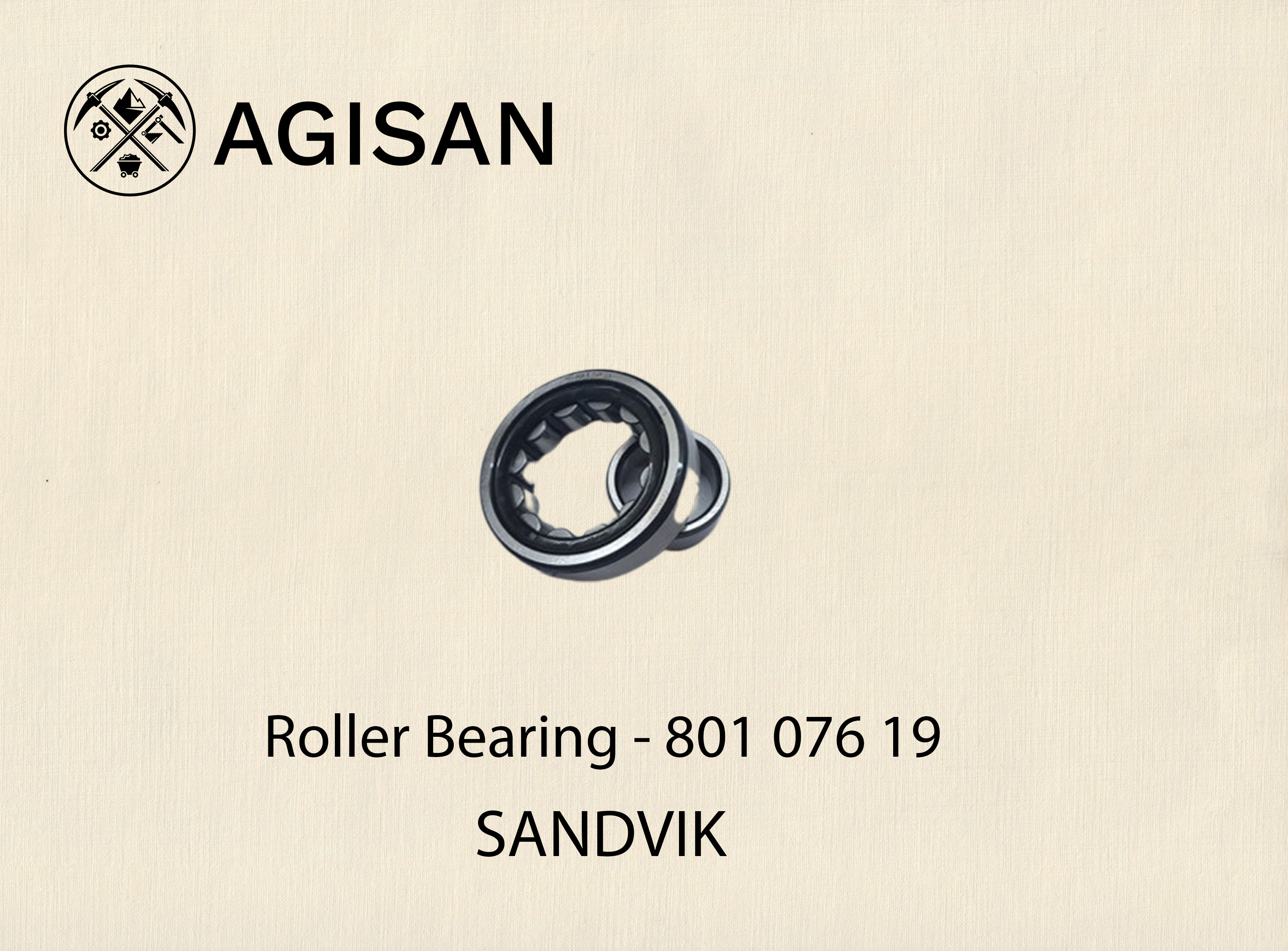 Roller Bearing 801 076 19 