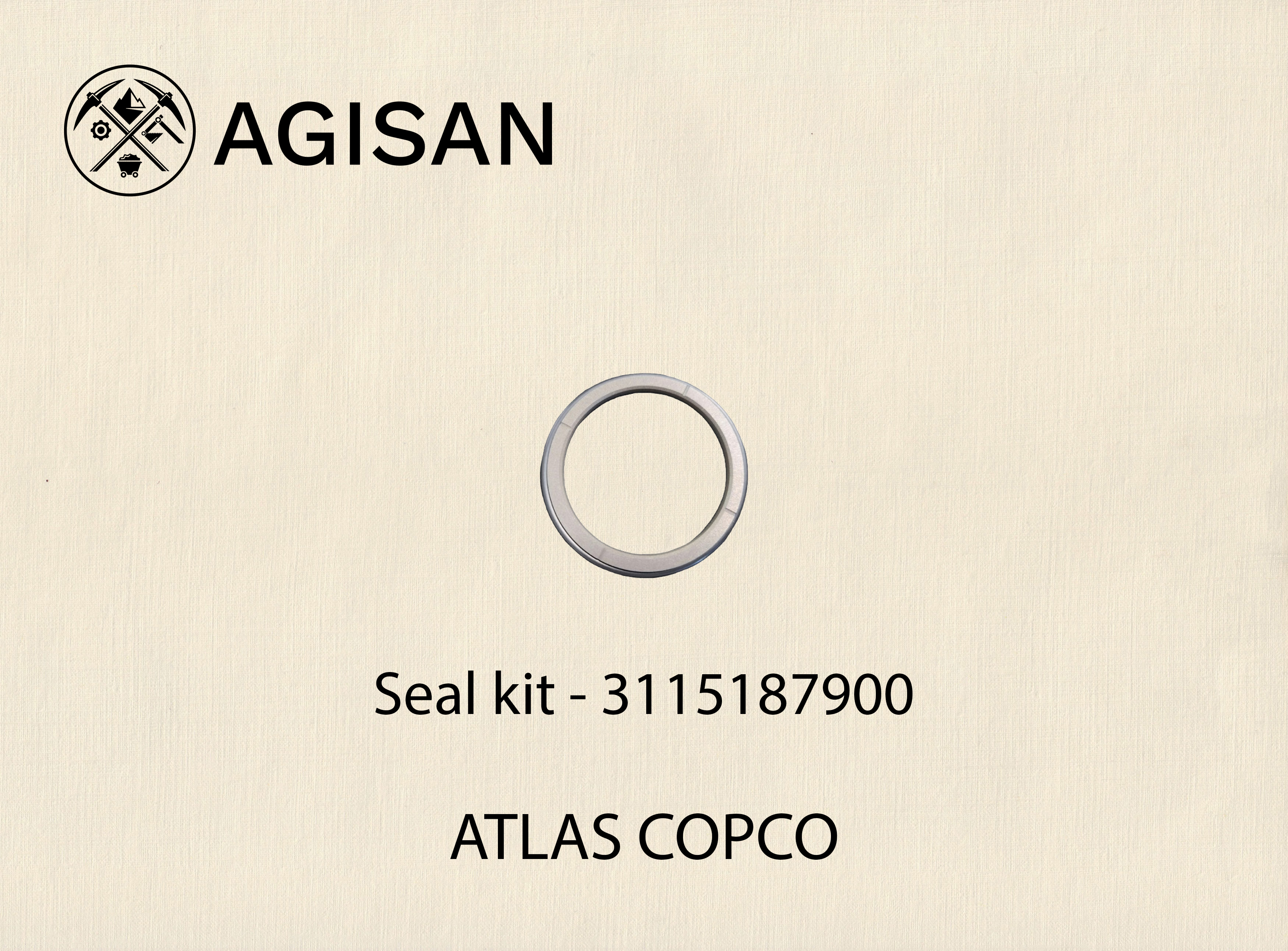 Seal kit 3115187900
