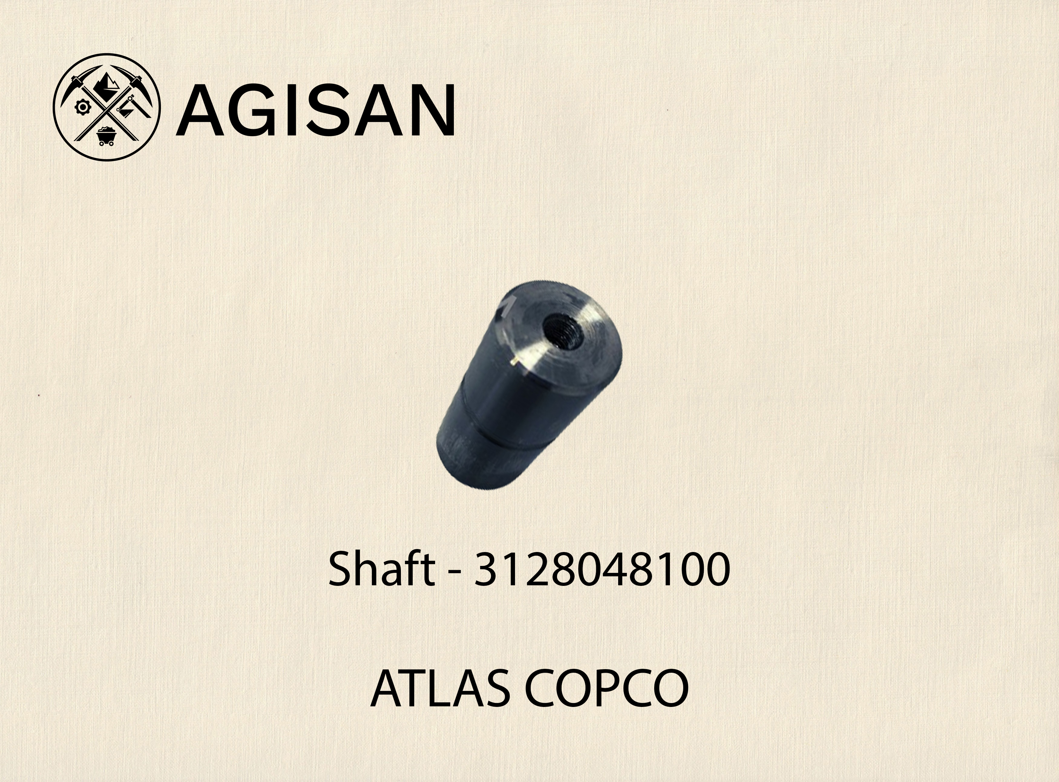 Shaft 3128048100