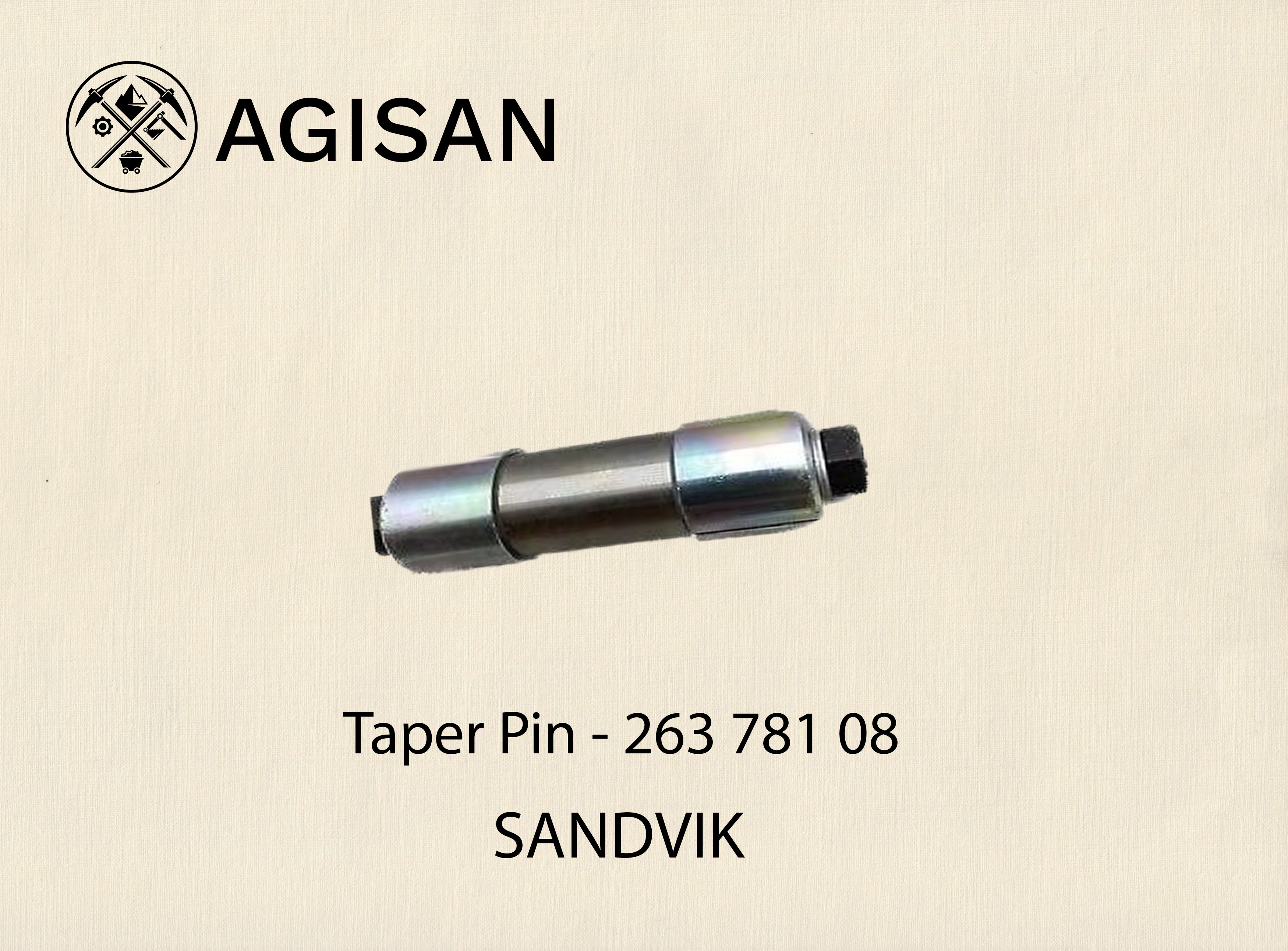 Taper Pin 263 781 08 