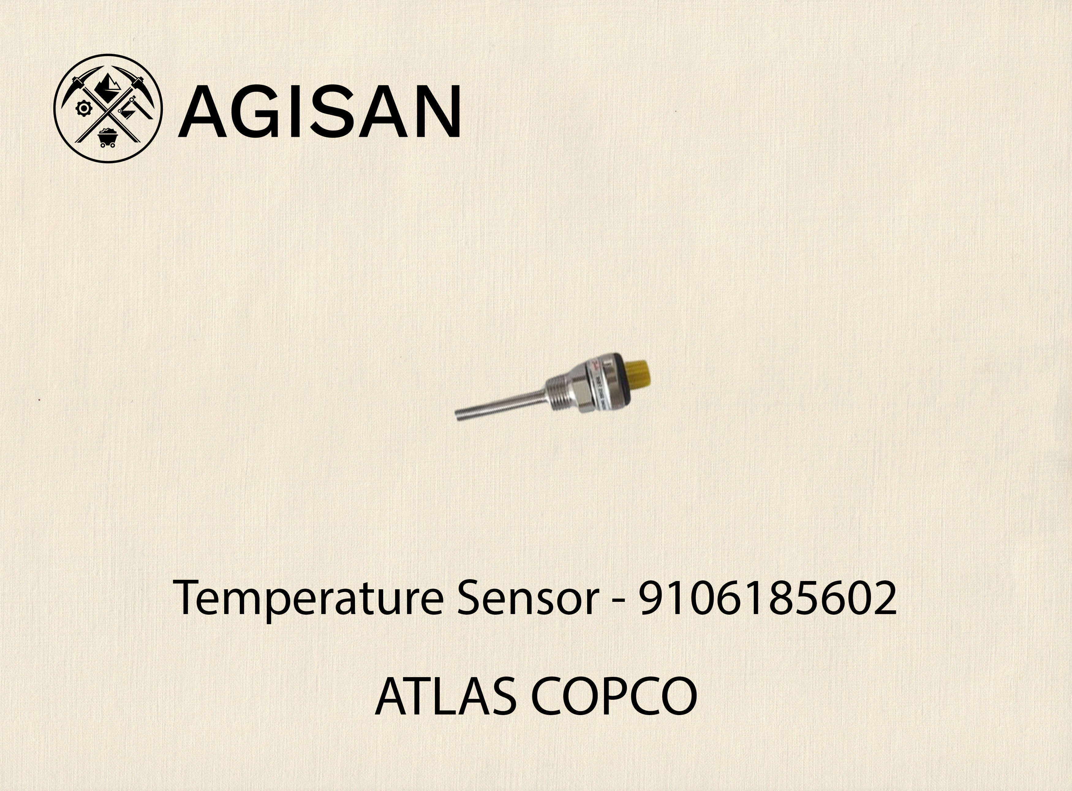 Temperature Sensor 9106185602