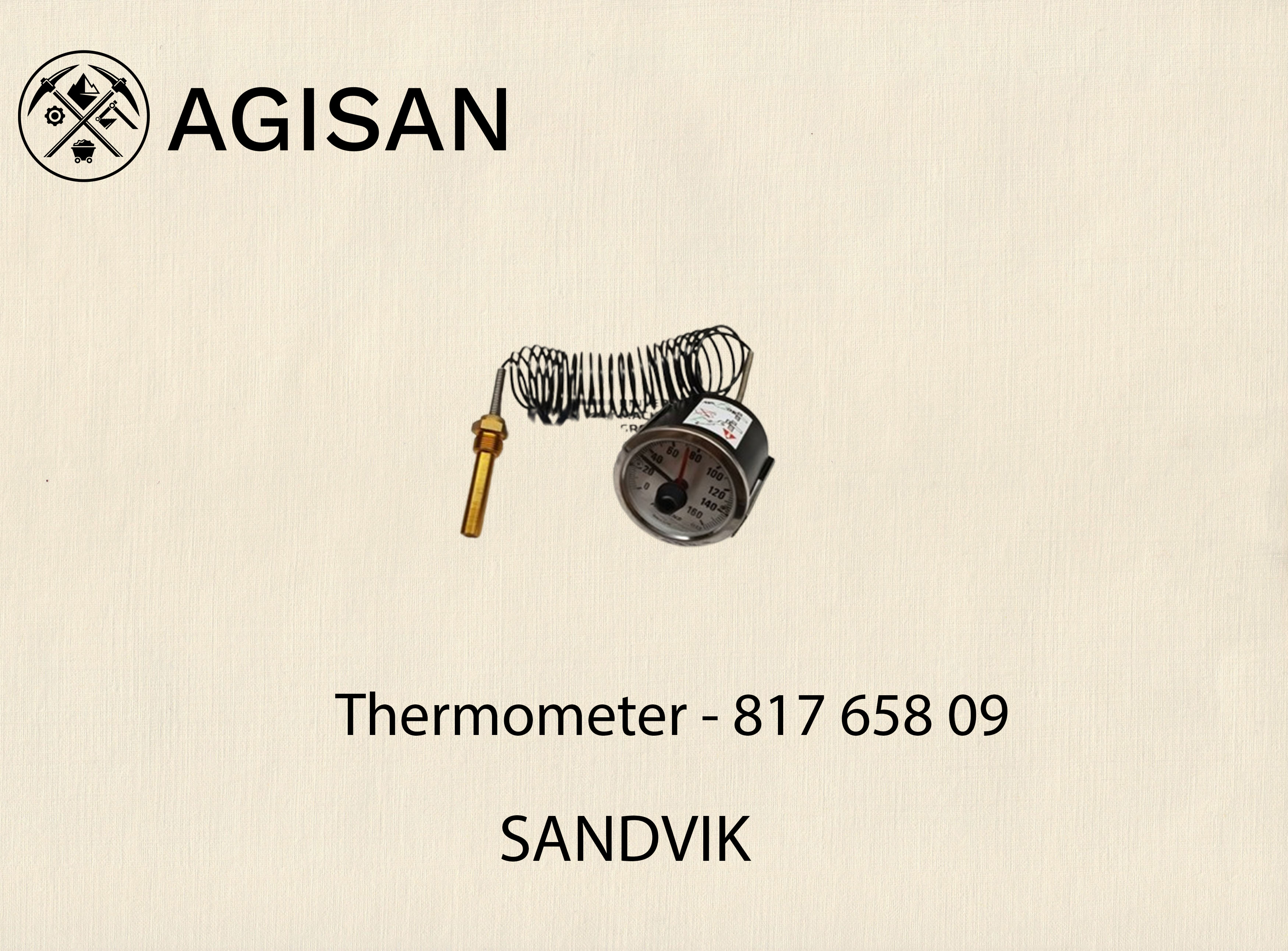 Thermometer 817 658 09 