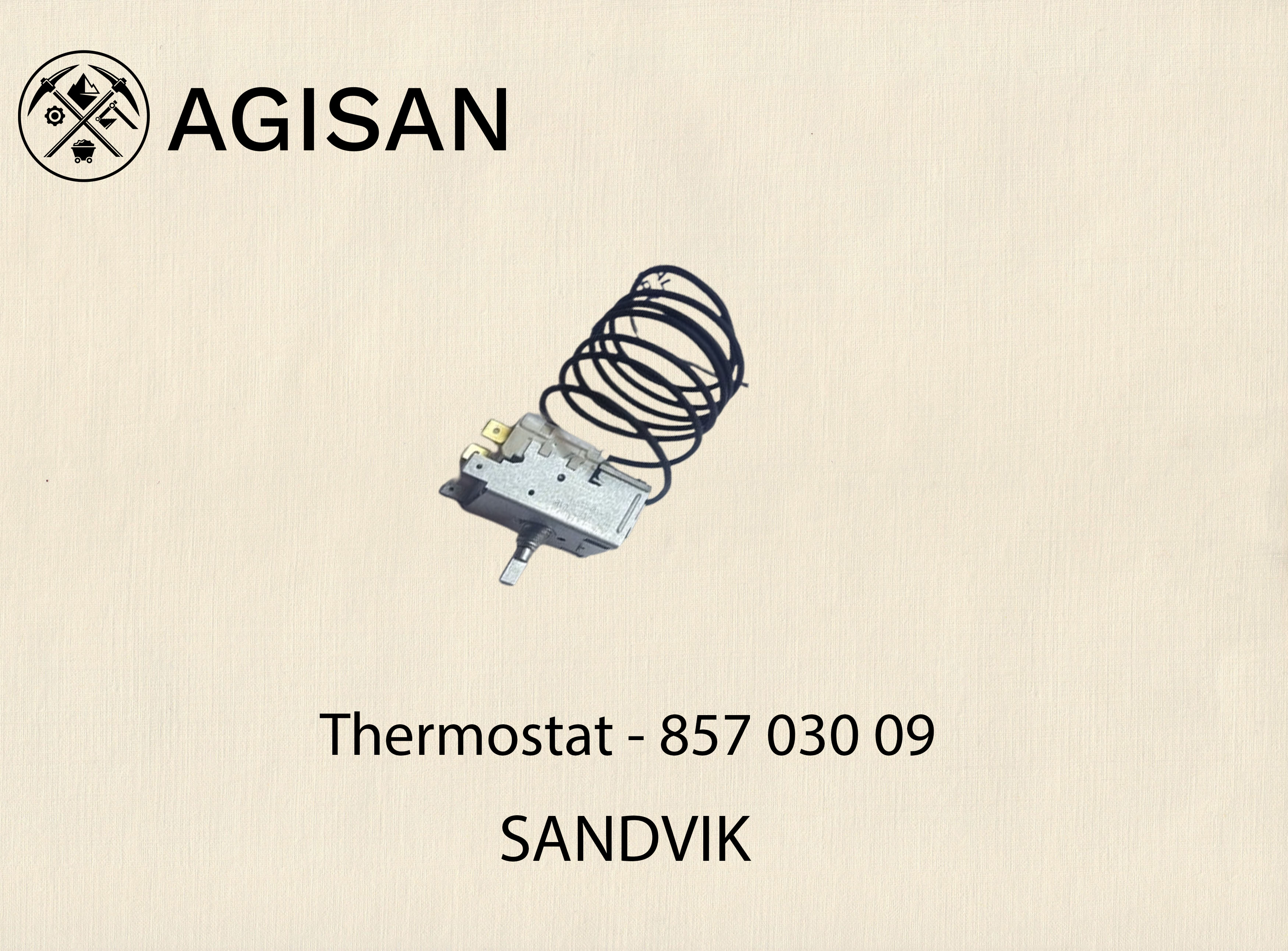 Thermostat 857 030 09 