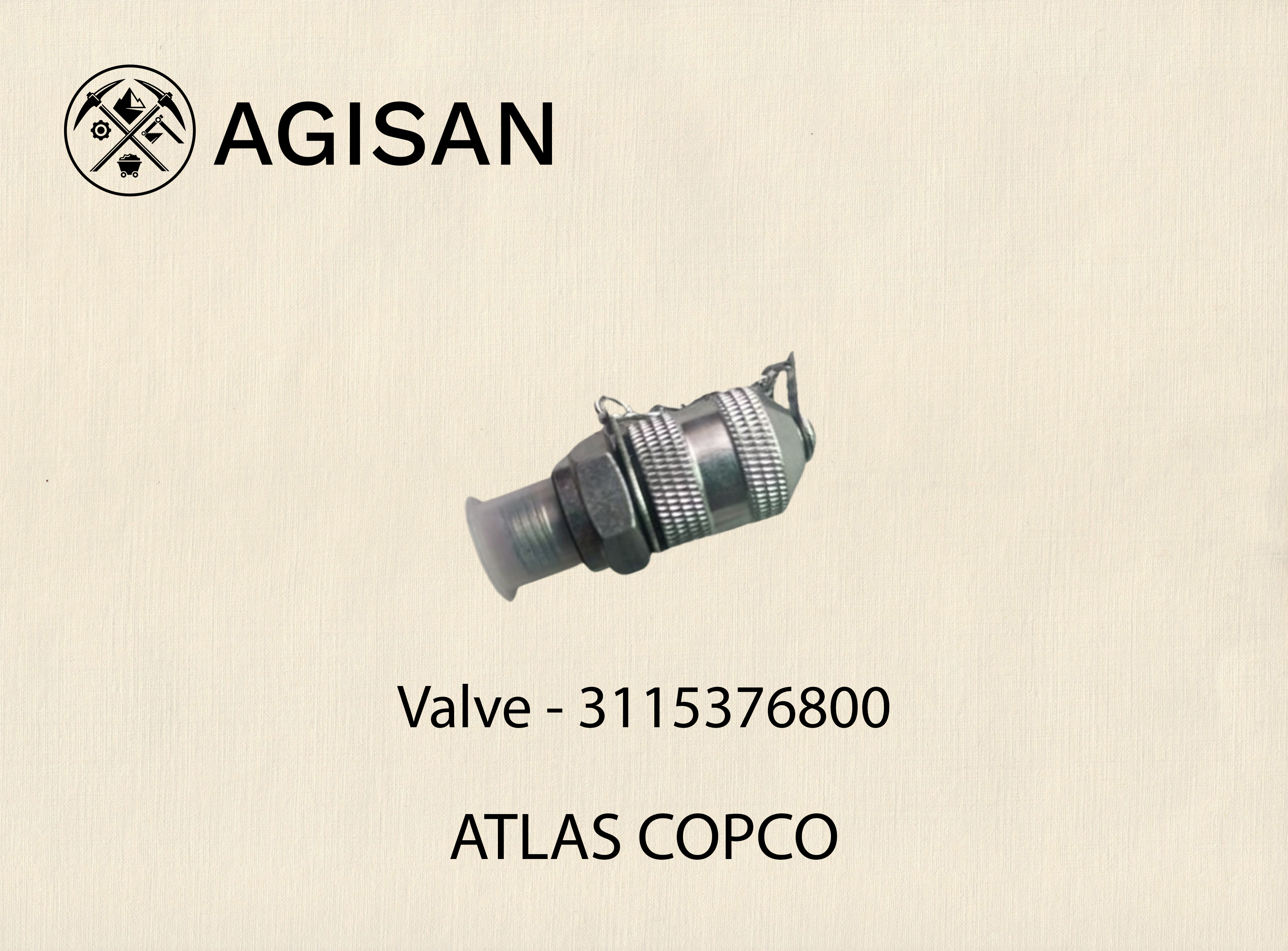Valve 3115376800